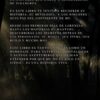 Libro MU ONLINE: un juego, una historia - Imagen 3