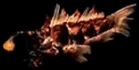 Great Bahamut de Mu Online