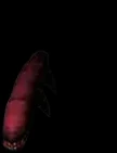 Deep Dungeon Larva de Mu Online