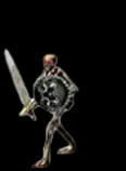Deep Dungeon Skeleton Warrior de Mu Online