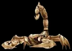 Bone Scorpion de Mu Online
