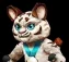 Skiing Tiger, muun de Mu Online