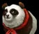Super Panda, muun de Mu Online
